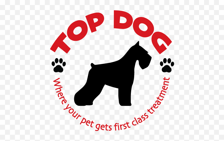 Top Dog U2013 Where Your Pet Gets First Class Treatment - Standard Schnauzer Png,Dog Logo
