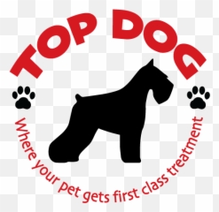 Top Dog U2013 Where Your Pet Gets First Class Treatment - Standard Schnauzer Png,Dog Logo