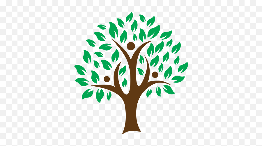 The Electra Olive Tree Project - Canvas Family Tree Paintings Png,Olive Tree Png