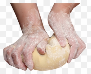 Download Hands Kneading Flour Png Image - Transparent Background Knead Clipart,Flour Png