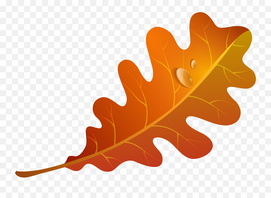 Falling Leaves Clipart Free Download - Autumn Oak Leaves Clipart Png,Autumn Leaves Png