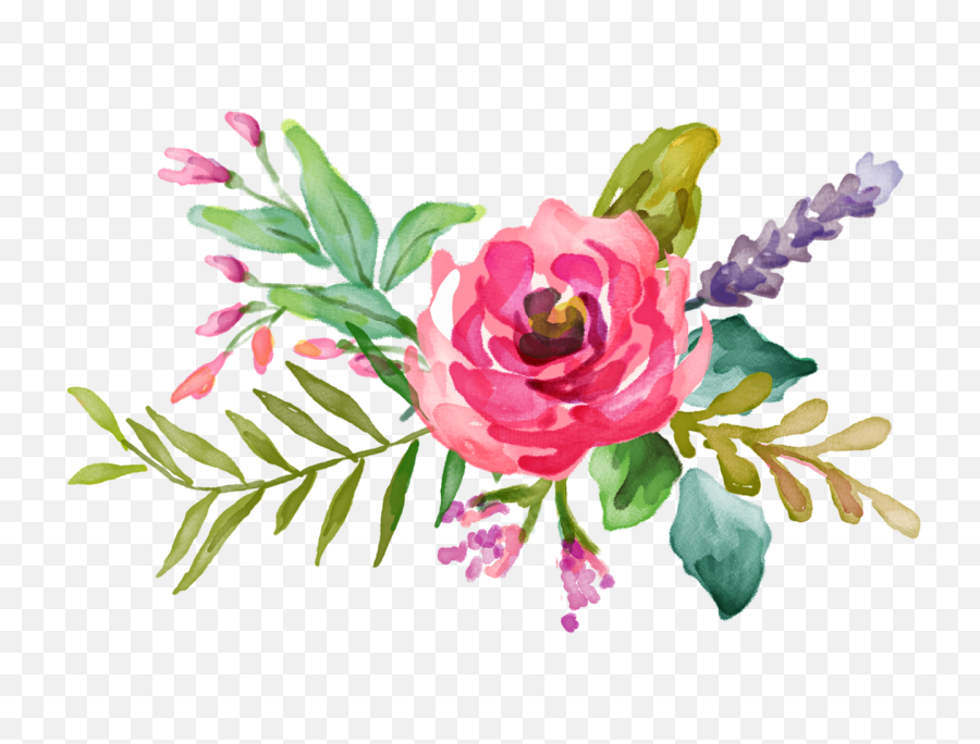 Floral Background Transparent Png - Transparent Background Watercolor Flower Clipart,Florals Png