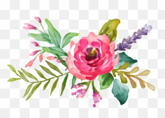 Floral Background Transparent Png - Transparent Background Watercolor Flower Clipart,Florals Png