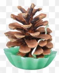 Pine Cone Fire Starters - Esschert Design Conifer Cone Png,Pine Cone Png