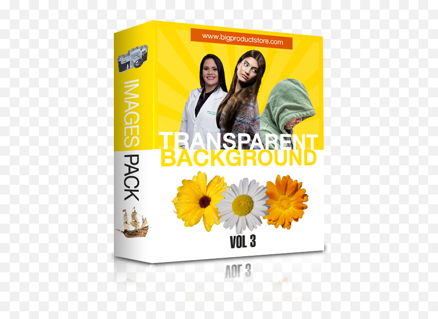 100 Stock Images With Transparent Background Collection 3 - Sunflower Png,Sunflower Transparent Background