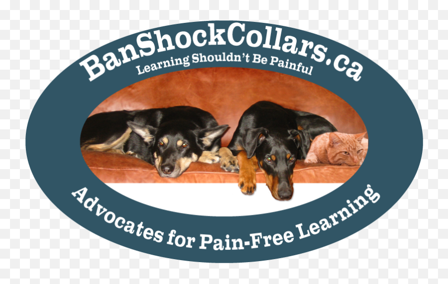 Banshockcollarsca Dfownloadable Resources - Companion Dog Png,Dog Logos
