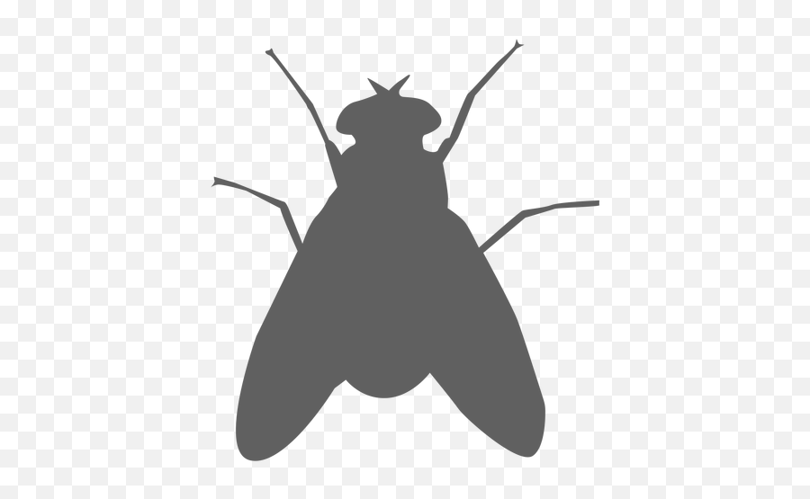 Fly Wing Feeler Silhouette - Transparent Png U0026 Svg Vector File Silueta De Una Mosca,Fly Png