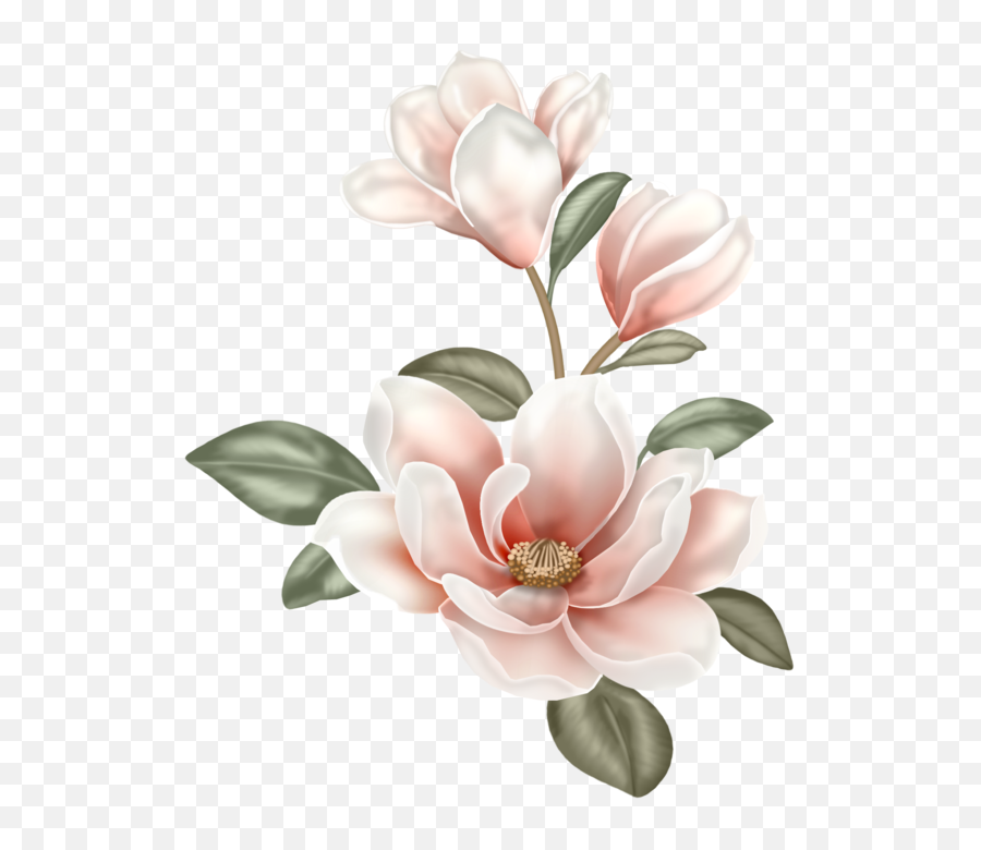 Download Flower Clip Art Boho Png - Magnolia Flower Png,Flower Clip Art Png