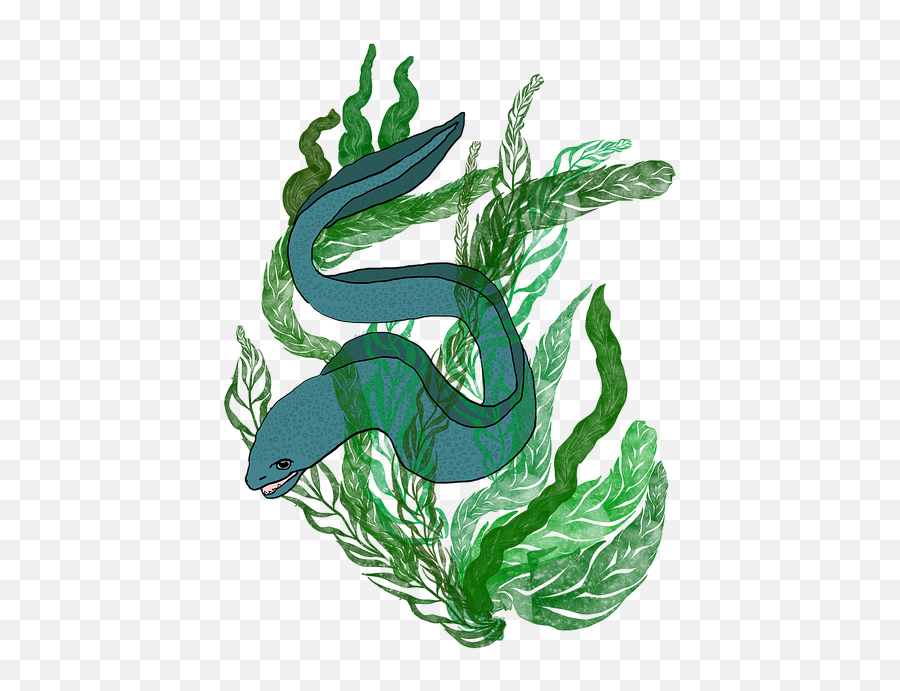 Sea Eel Moray - Serpent Png,Eel Png