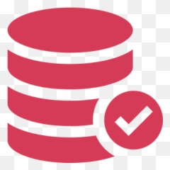 Data - managementicon PlutusTree LLC Data Quality Validation Icon png
