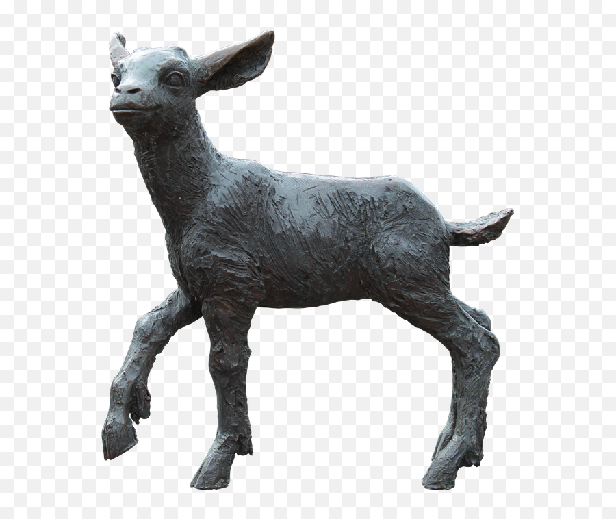 Lamb Png Transparent Images All - Portable Network Graphics,Goats Png