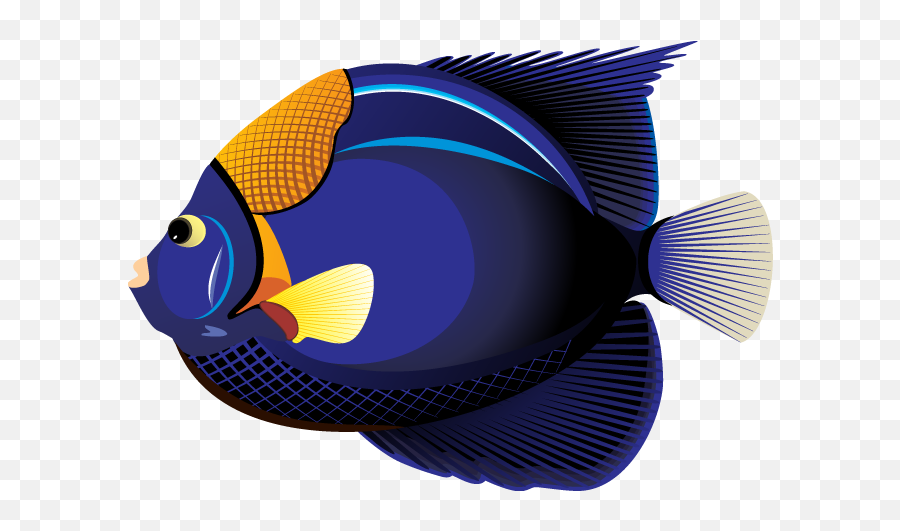 Download - Tropical Fish Fish Clipart Png,Ocean Clipart Png