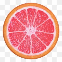 Grapefruit Slice Popgrip - Orangelo Png,Grapefruit Icon