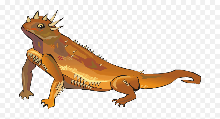 Horned Lizard Png Transparent Picture - Texas Horned Lizard Clipart,Lizard Transparent