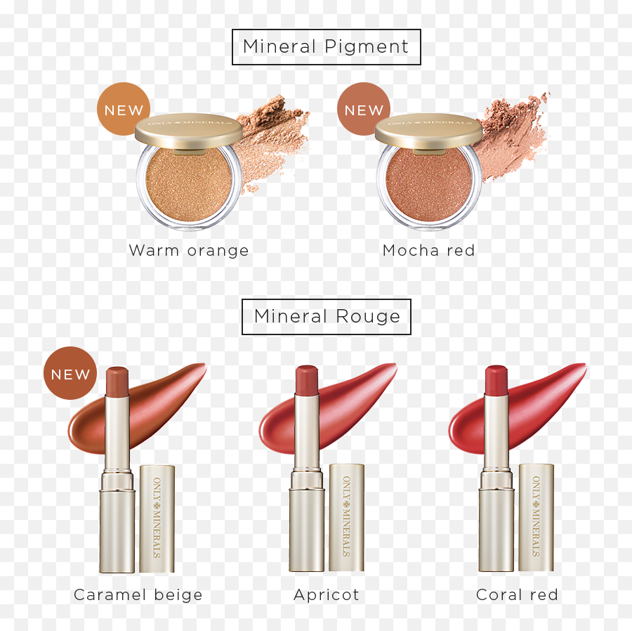 Mineral Color Only Minerals Official Website Ya - Man Makeup Tool Png,Color Icon Bronzer Swatches