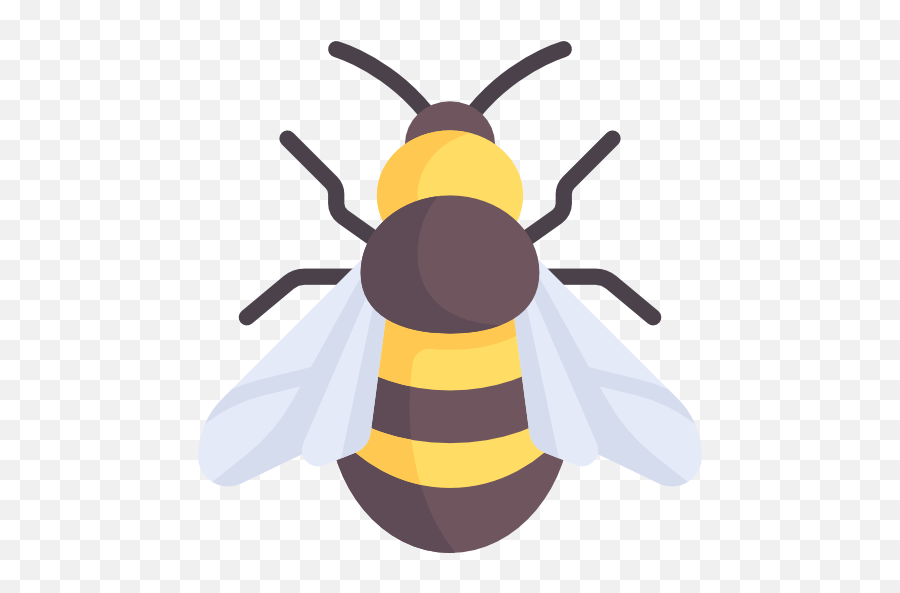 Bee - Free Animals Icons Bee Flat Icon Png,Bumblebee Icon
