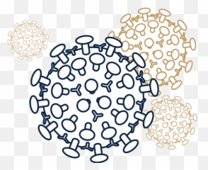 About Covid - 19 In Lyon County Ks Virus Drawing Png,Lyon Icon