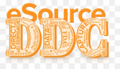Blog - Language png
