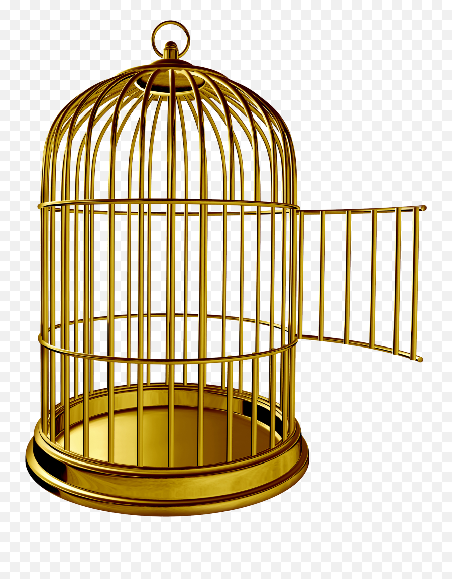 Golden Bird Cage Png Image - Deekshabhoomi,Cage Png