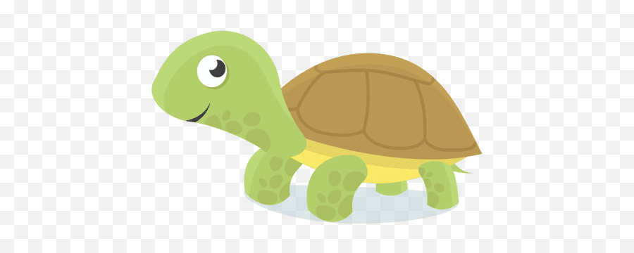 Cartoon Turtle Transparent Png - Tortuga Png,Cute Turtle Png