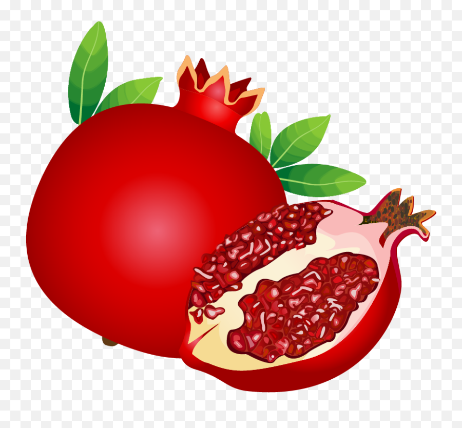Pomegranate Clipart Berry - Pomegranate Clipart Png,Pomegranate Transparent