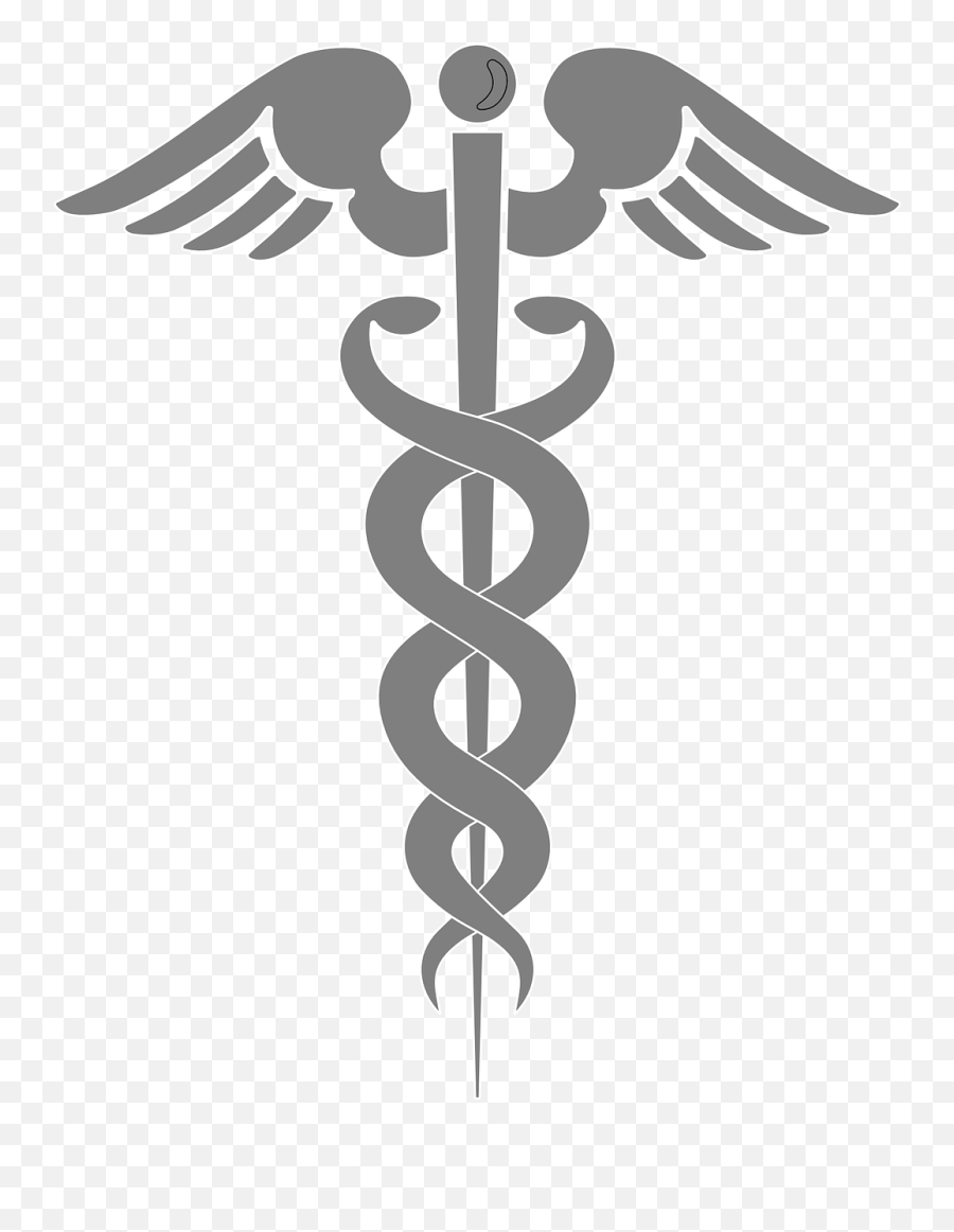 Measuring The Four Principles Of Beauchamp And Childress - Clip Art Medical Png,Maleficent Icon