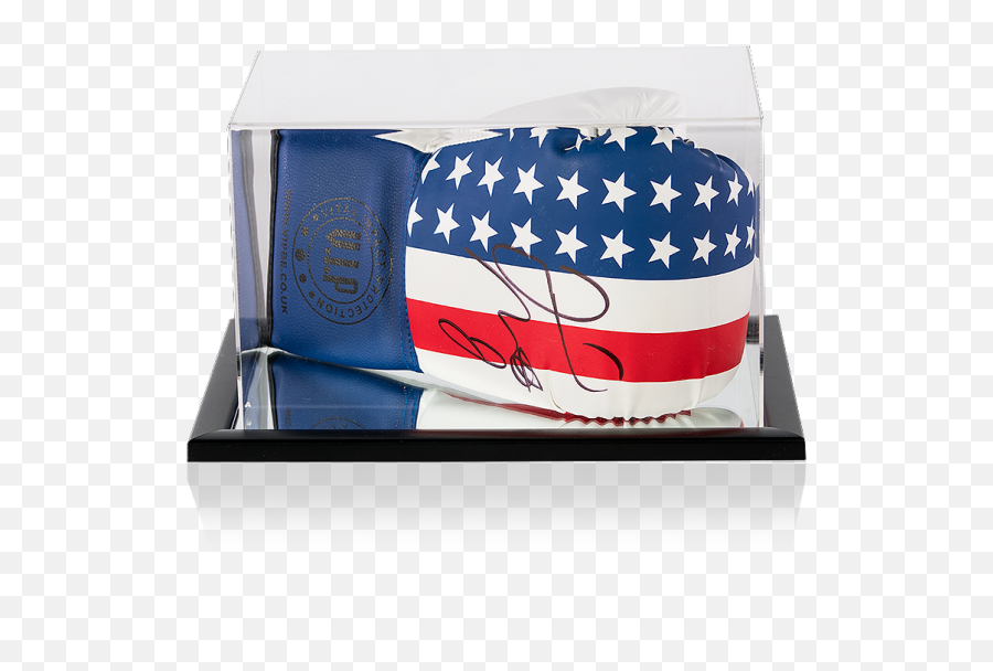 Floyd Mayweather Signed Vip Usa Flag Boxing Glove In Acrylic Display Case - Box Png,Floyd Mayweather Png