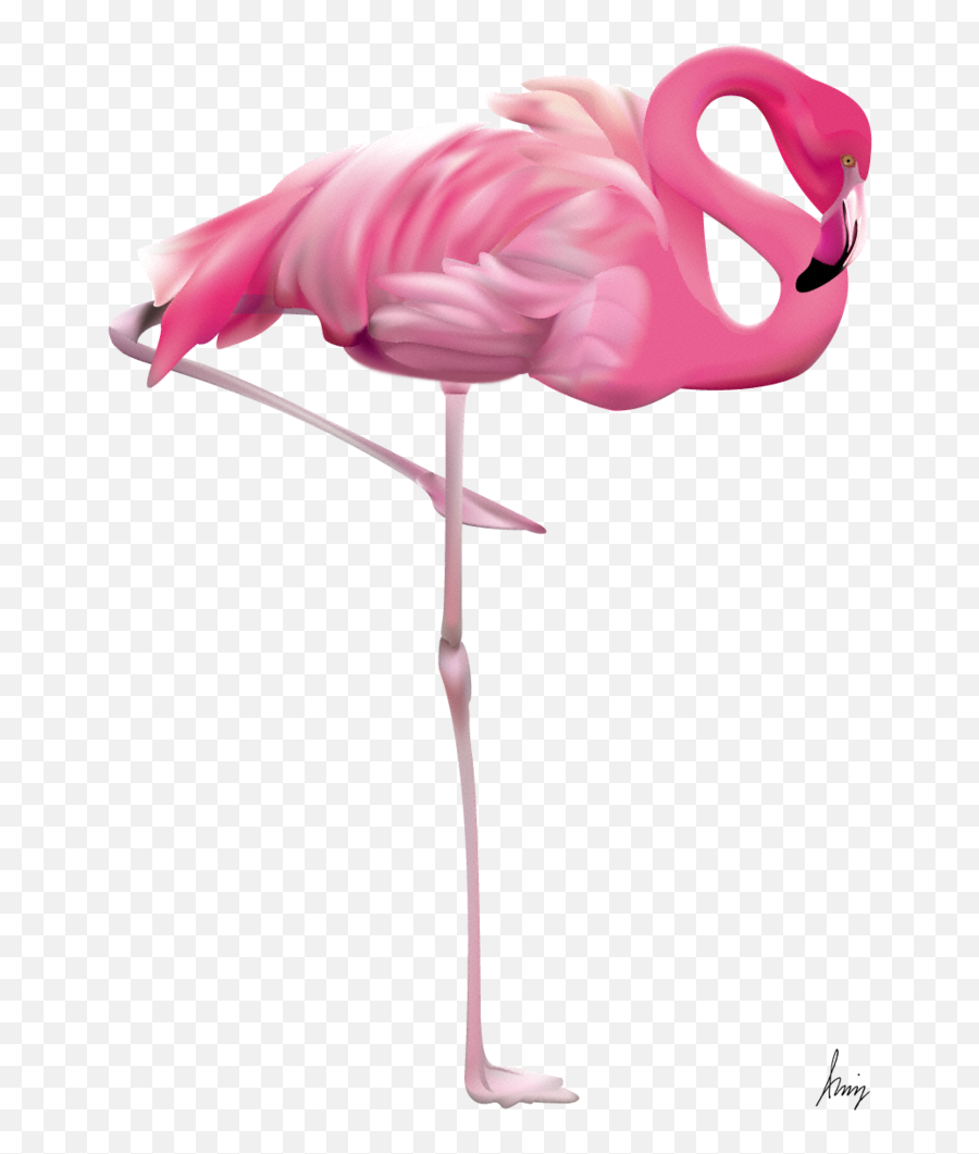 Flamingo Em Png Image - Flamingo Art Png,Flamingo Transparent Background