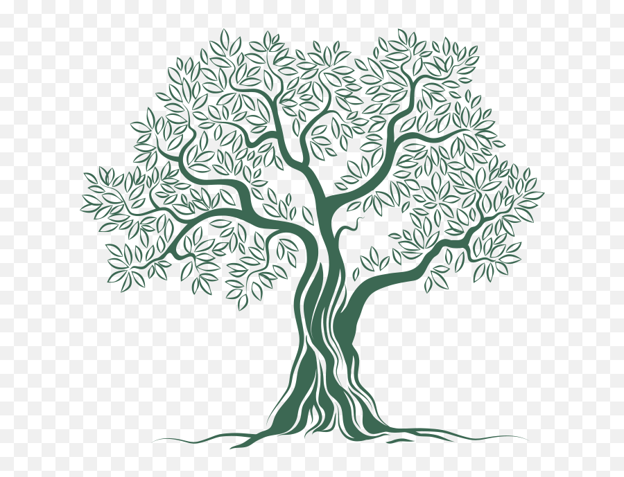 Download Olive Tree Logo Png Image - Olive Tree Logo,Olive Tree Png