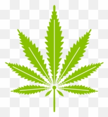 Marihuana - Hoja De Vector png