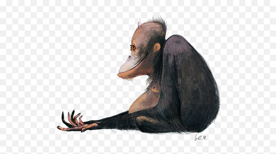 Orangutan Png Pic - Cartoon Monkey Concept,Orangutan Png