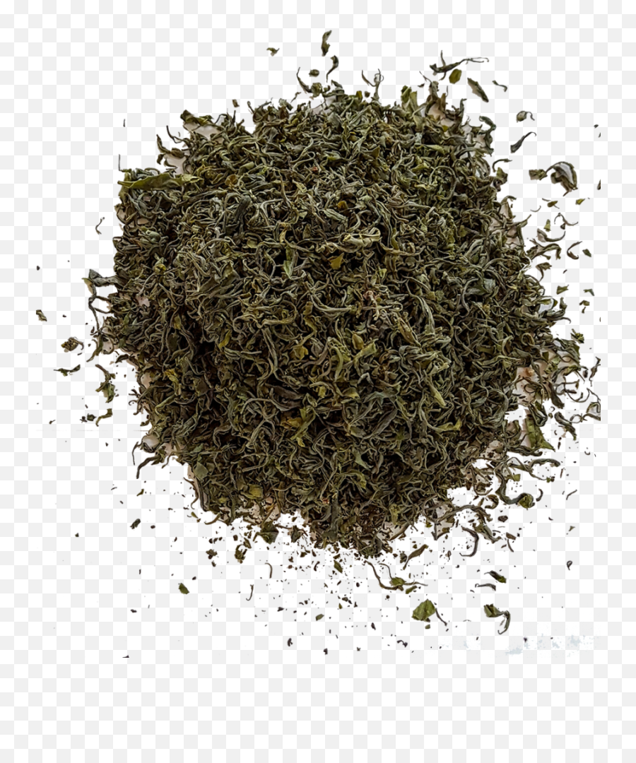 Ceylon Tea Pure Exporter - Green Tea Leaf Png,Tea Leaves Png