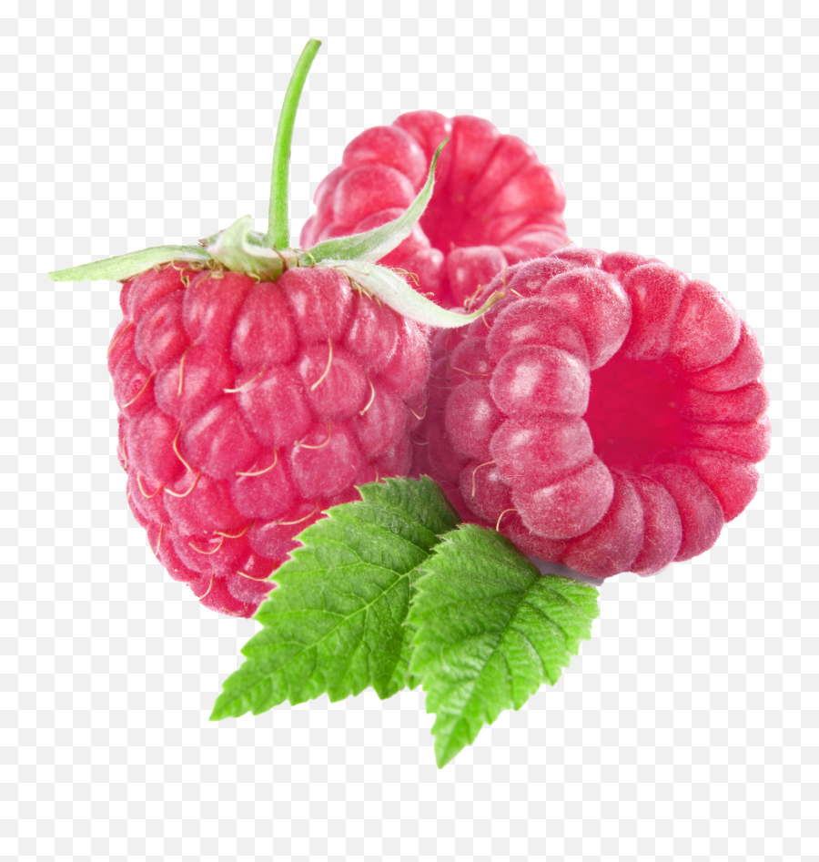 Raspberry Transparent Png Clipart - Raspberry Clipart,Raspberries Png