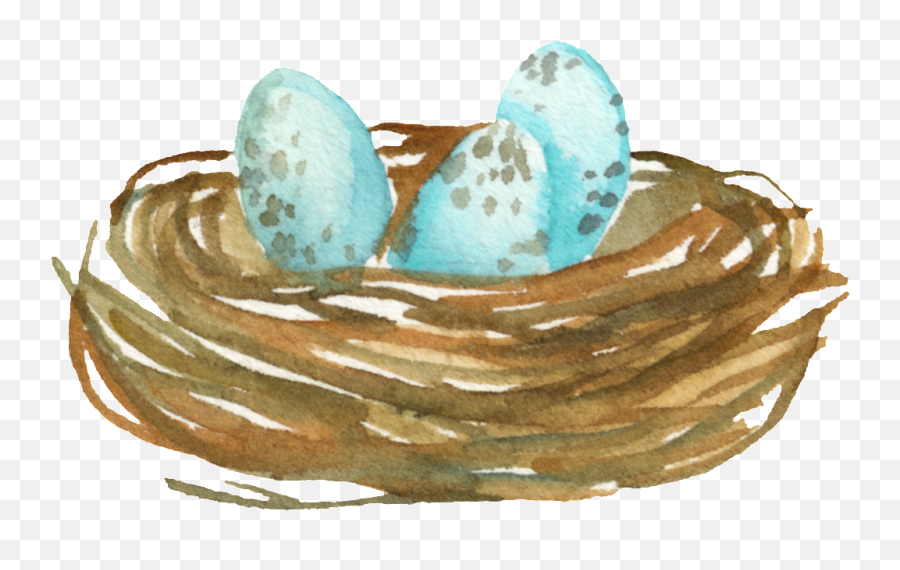 Cartoon Cute Bird Nest Transparent - Bird Nest Full Size Pottery Png,Bird Nest Png