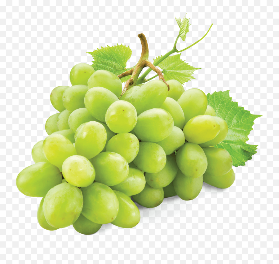 Download White Grape - White Grape Png Full Size Png Image Transparent White Grapes Png,Grape Png