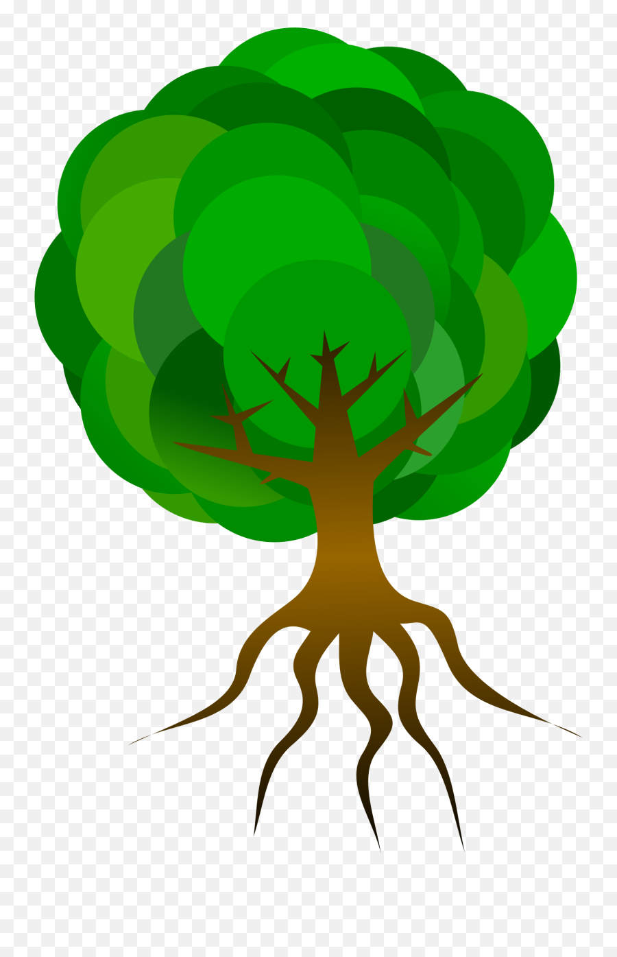 Nature Tree Branches Roots Skeleton Plant Leaves - Tree With Roots Animation Png,Roots Png