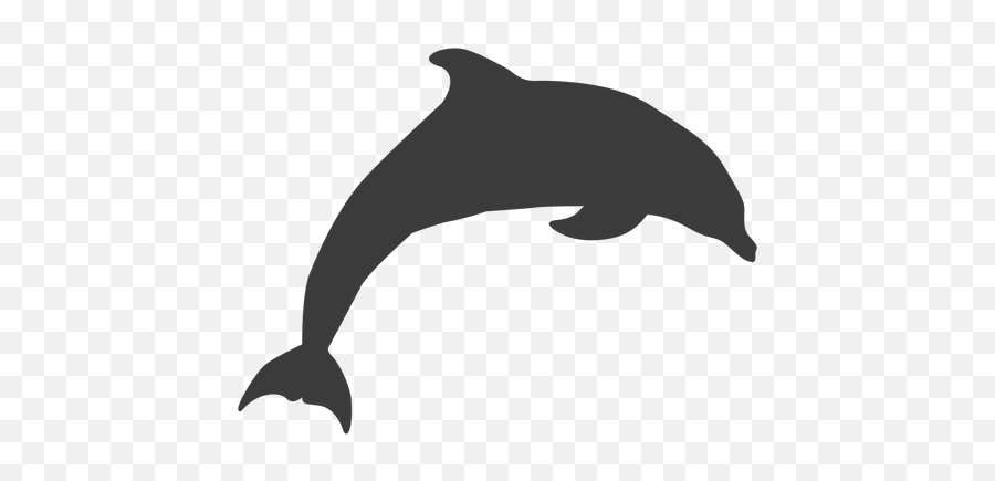 Dolphin Tail Flipper Swimming - Dolphin Silhouette Png,Dolphin Transparent