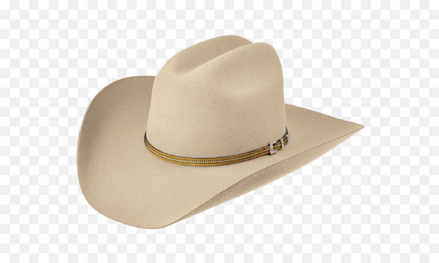 Transparent Cowboy Hat - Western Cowboy Hat Transparent Background Png,Black Cowboy Hat Png