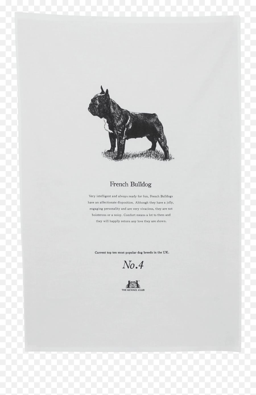 Crufts Tea Towel French Bulldog - Olde English Bulldogge Png,Bull Dog Png