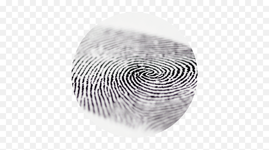 Fingerprint Technology - Fingerprint And Technology Png,Fingerprint Transparent