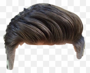 Hd Men Hair Wig Png