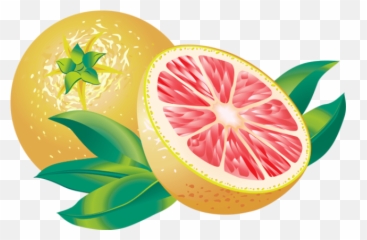 Free Citrus - Cliparts Download Free Clip Art Free Clip Art Grapefruit Vector Png,Citrus Png