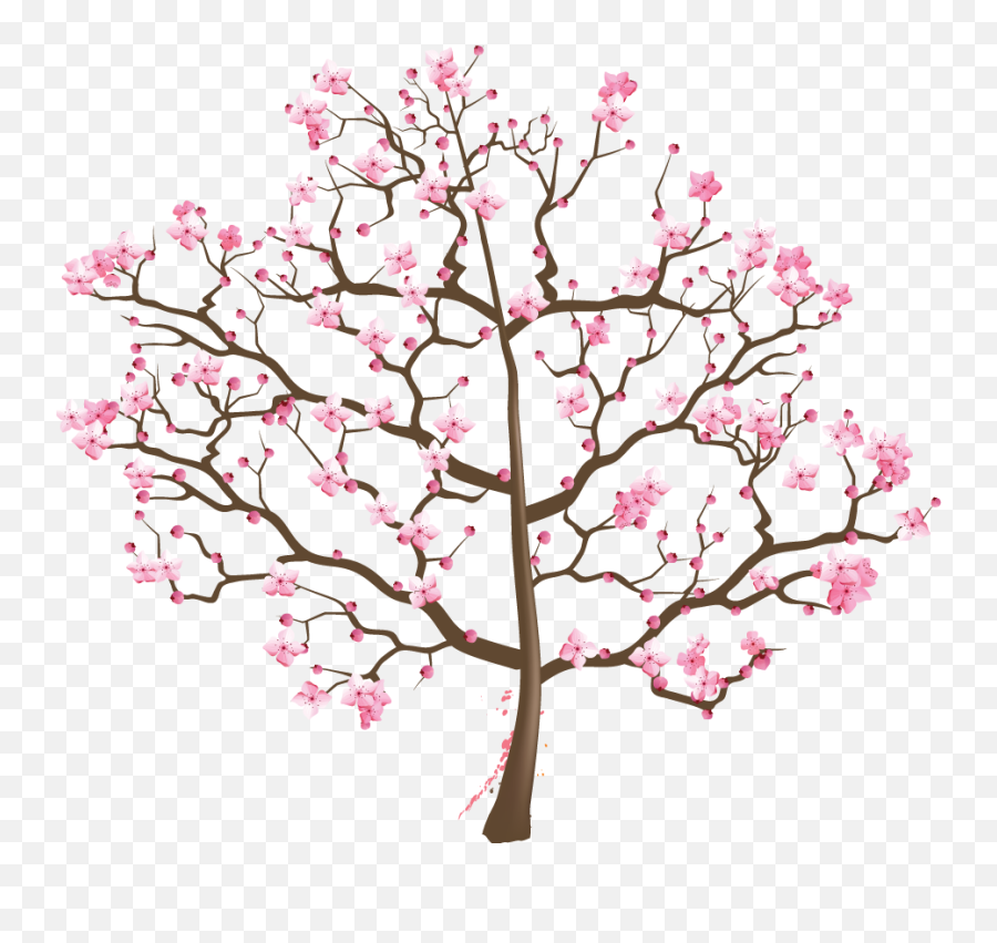 Cherry Blossom Tree Png - Suzuki Cherry Blossom Tree Png Images Png Download Cherry Blossom Tree Png,Cherry Tree Png