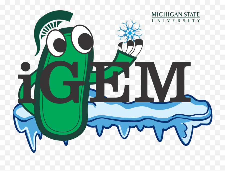 Teammsu - Michigan 2016igemorg Michigan State Spartans Png,Michigan State Logo Png
