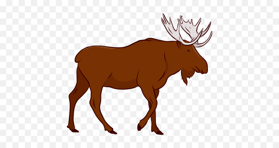 Elk Moose Antler Hoof Illustration - Transparent Cartoon Moose Png,Moose Transparent