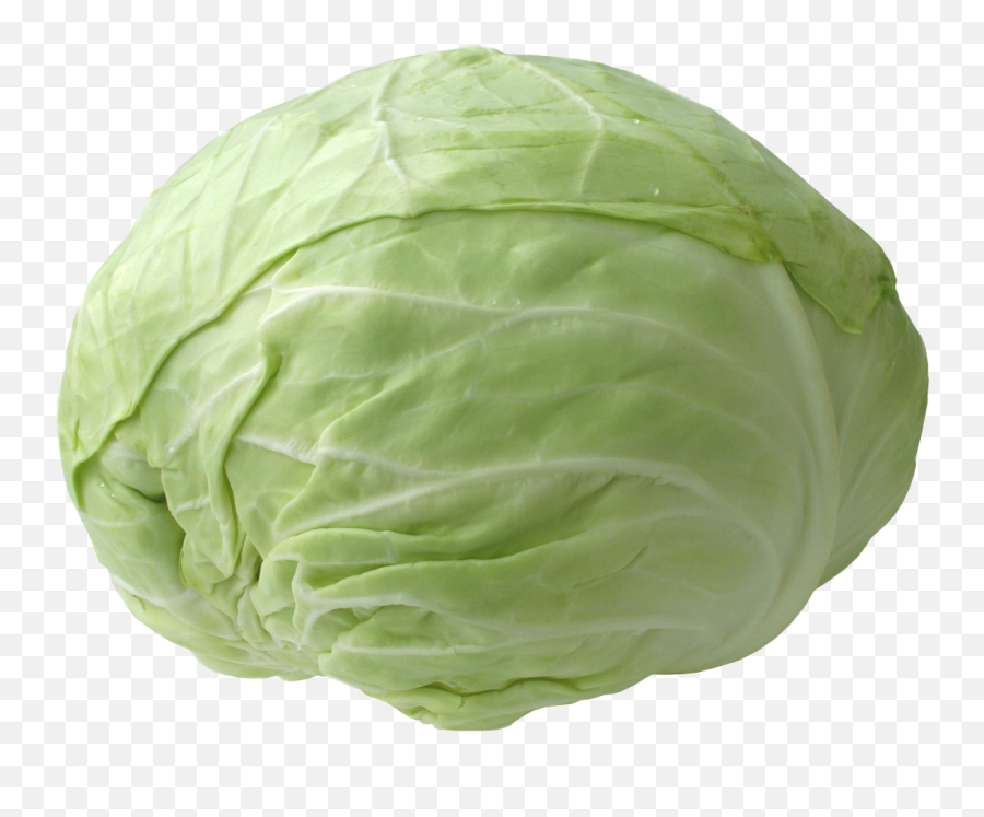 Cabbage Hd Png Transparent Hdpng Images Pluspng - Cabbage Png,Vegetables Transparent Background