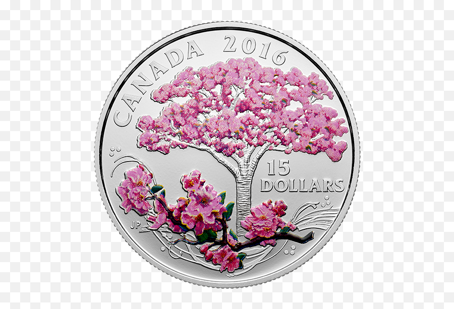 2016 Fine Silver Coloured Coin U2013 Celebration Of Spring Cherry Blossoms - Cherry Blossom In Coins Png,Cherry Blossoms Transparent