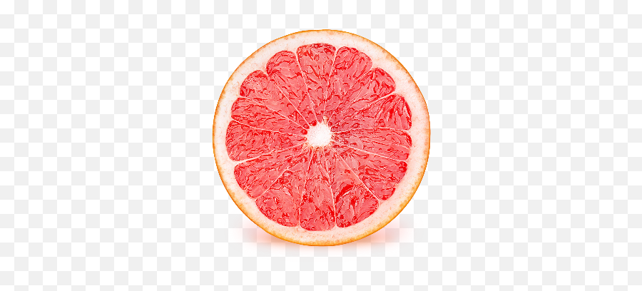 Portal - Stock Photography Png,Grapefruit Icon