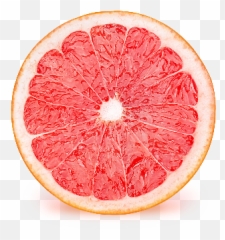 Portal - Stock Photography Png,Grapefruit Icon