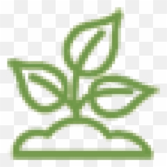 Sustainable Eco - Language png